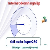 Gói internet doanh nghiệp Super250
